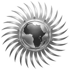 African Diaspora News Channel