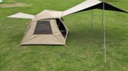 Professional household cleaning